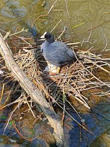 Annelies 07 - Jong leven in de maak 1